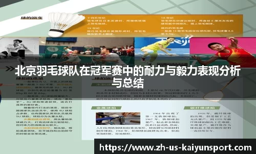 北京羽毛球队在冠军赛中的耐力与毅力表现分析与总结